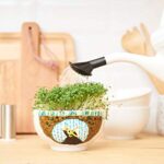 edding 4200 porcelain brush pen – brown – 1 pen – brush nib 1-4 mm – felt-nib pen for painting and decorating ceramics, porcelain – dishwasher-safe, lightfast ink, quick-drying