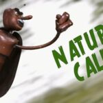 Nature Calls