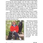 Scaredy Dog!: Understanding & Rehabilitating Your Reactive Dog