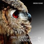 Outdoor Lifestyles, Brown Noise (Loopable)