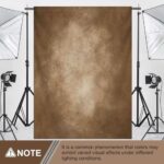 Haboke Abstract Professional Photography Backdrop for Adult Portrait Photo Studio Props Booth Background Photoshoot with Thick Ployester Roller Pocket on Top(Brown-8x10ft)
