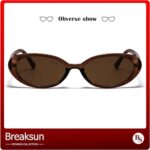 Breaksun Retro Oval Sunglasses for Women Men Fashion Small Oval Sunglasses 90s Vintage Shades (Dark Brown/Brown)