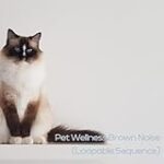 Peaceful Pet Haven Brown Noise (Loopable Sequence)