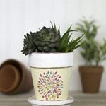 DecoArt Patio Paint, 2-Ounce, Pinecone Brown